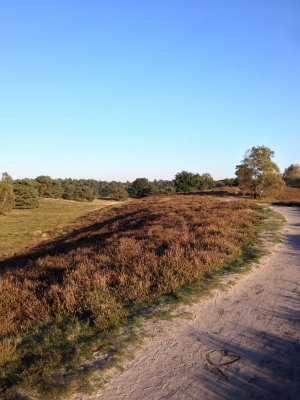 Westruper Heide